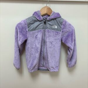 The North Face Purple and Gray Fleece Jacket